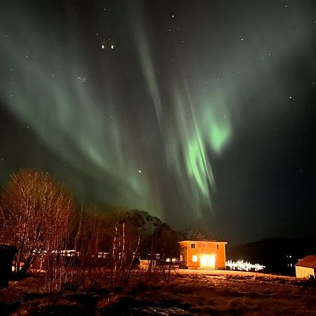 Pederstua, A Classic Fisherman'S Farm House In The Middle Of Lofoten Storeidet Esterno foto