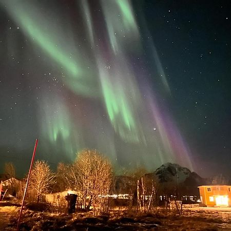 Pederstua, A Classic Fisherman'S Farm House In The Middle Of Lofoten Storeidet Esterno foto