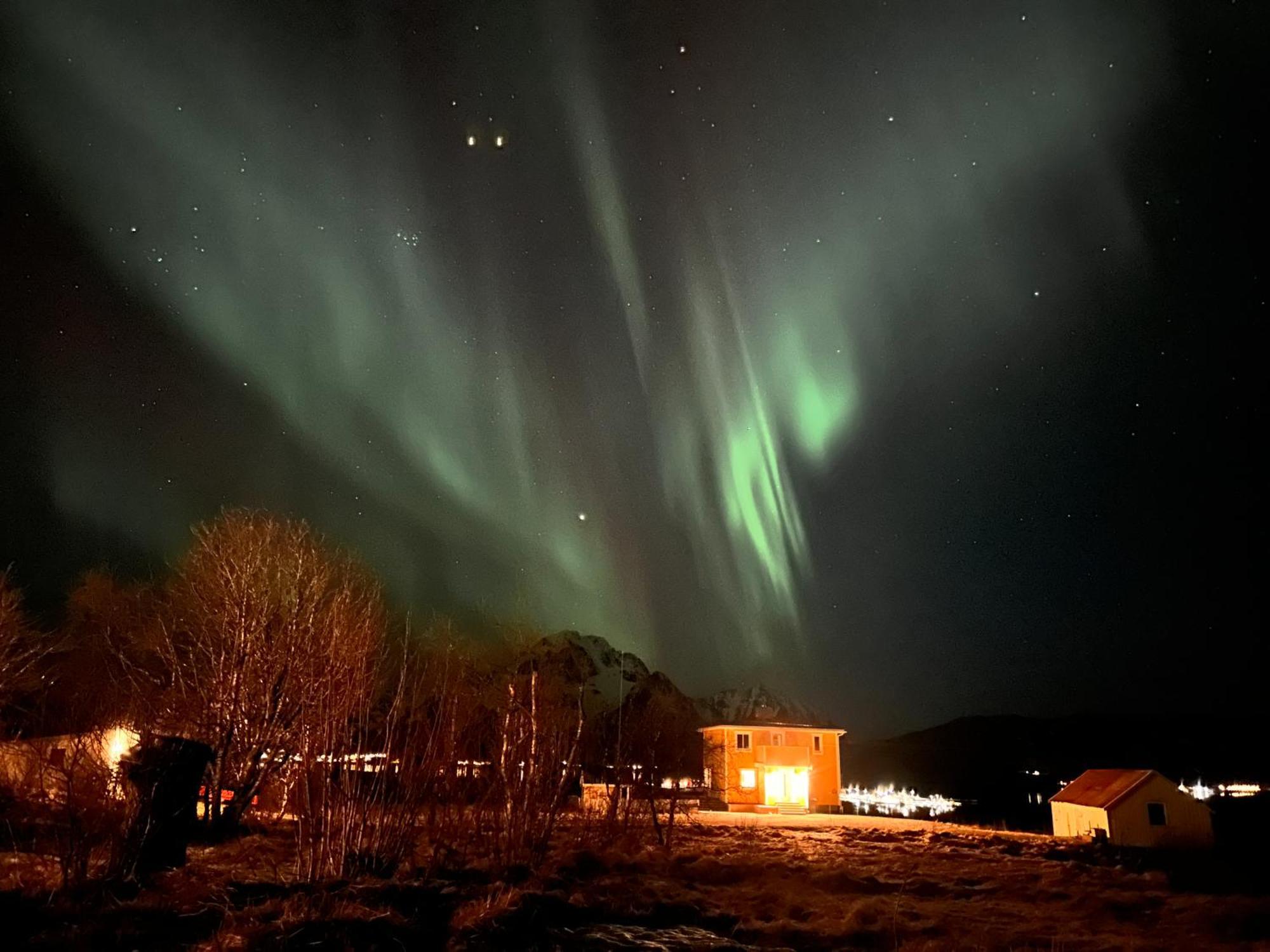 Pederstua, A Classic Fisherman'S Farm House In The Middle Of Lofoten Storeidet Esterno foto