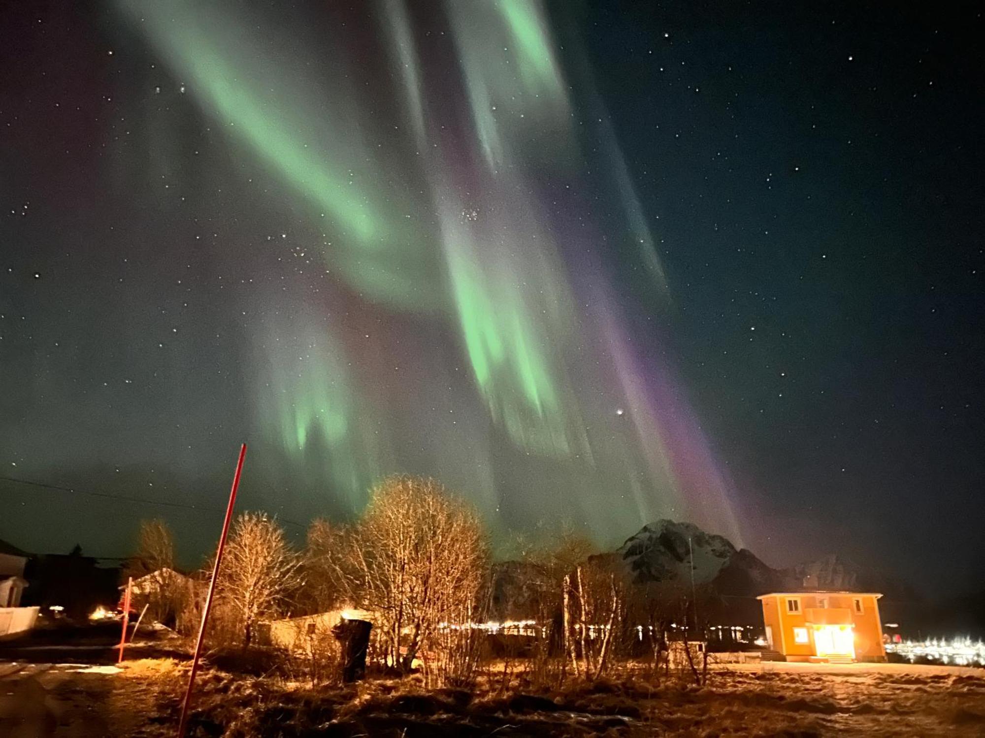 Pederstua, A Classic Fisherman'S Farm House In The Middle Of Lofoten Storeidet Esterno foto